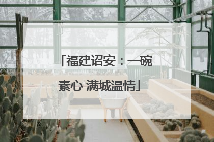 福建诏安：一碗素心 满城温情
