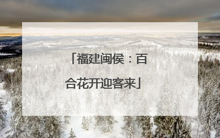 福建闽侯：百合花开迎客来