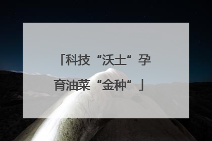 科技“沃土”孕育油菜“金种”