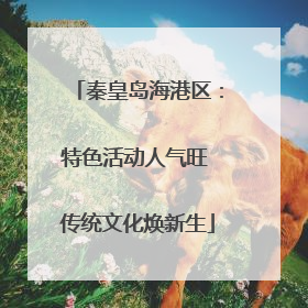 秦皇岛海港区：特色活动人气旺 传统文化焕新生