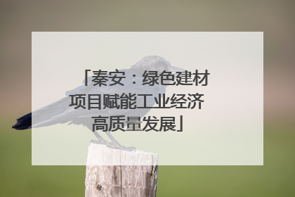 秦安：绿色建材项目赋能工业经济高质量发展
