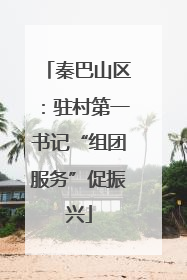秦巴山区：驻村第一书记“组团服务”促振兴