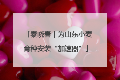 秦晓春｜为山东小麦育种安装“加速器”