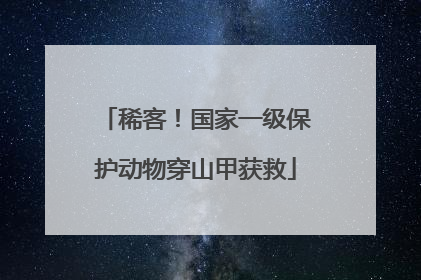稀客！国家一级保护动物穿山甲获救