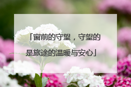 窗前的守望，守望的是旅途的温暖与安心