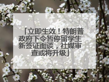 立即生效！特朗普政府下令暂停留学生新签证面谈，社媒审查或将升级