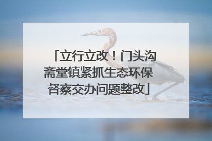 立行立改！门头沟斋堂镇紧抓生态环保督察交办问题整改