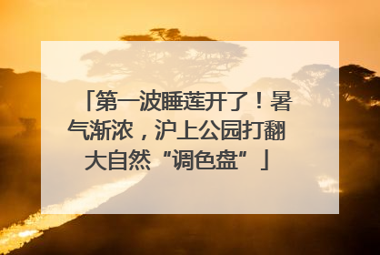 第一波睡莲开了！暑气渐浓，沪上公园打翻大自然“调色盘”