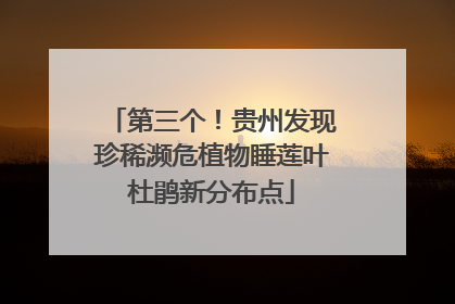 第三个！贵州发现珍稀濒危植物睡莲叶杜鹃新分布点