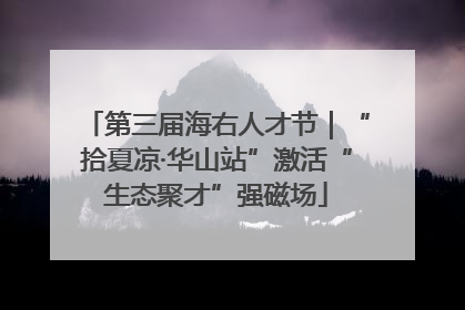 第三届海右人才节｜“拾夏凉·华山站”激活“生态聚才”强磁场