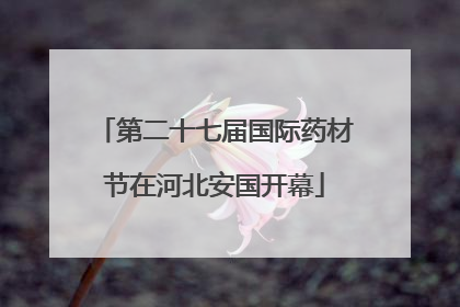 第二十七届国际药材节在河北安国开幕