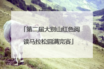 第二届大别山红色阅读马拉松圆满完赛