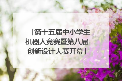 第十五届中小学生机器人竞赛暨第八届创新设计大赛开幕