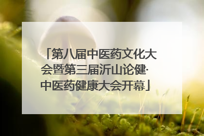 第八届中医药文化大会暨第三届沂山论健·中医药健康大会开幕
