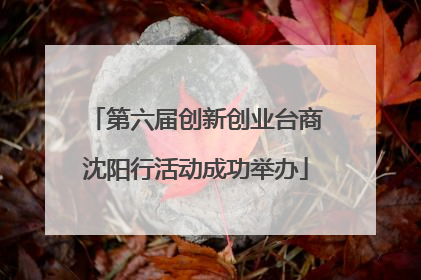 第六届创新创业台商沈阳行活动成功举办