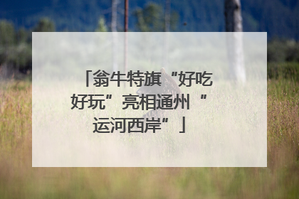 翁牛特旗“好吃好玩”亮相通州“运河西岸”
