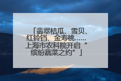翡翠桔瓜、雪贝、红铃铛、金寿桃……上海市农科院开启“缤纷蔬菜之约”