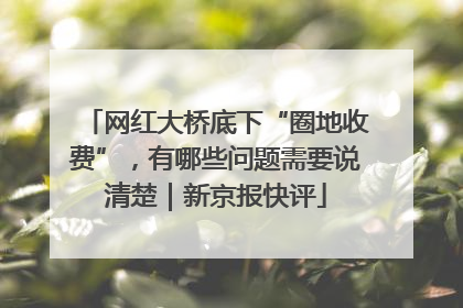 网红大桥底下“圈地收费”，有哪些问题需要说清楚｜新京报快评
