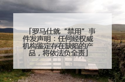 罗马仕就“禁用”事件发声明：任何经权威机构鉴定存在缺陷的产品，将依法负全责
