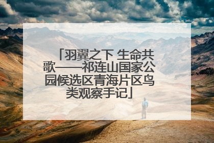 羽翼之下 生命共歌——祁连山国家公园候选区青海片区鸟类观察手记