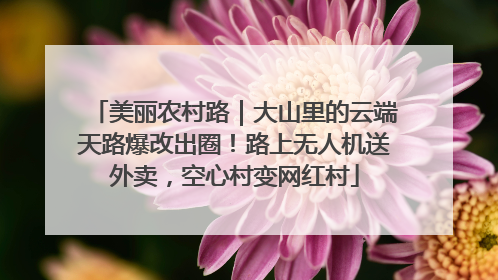美丽农村路｜大山里的云端天路爆改出圈！路上无人机送外卖，空心村变网红村