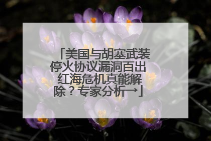 美国与胡塞武装停火协议漏洞百出 红海危机真能解除？专家分析→