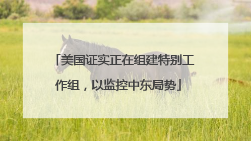 美国证实正在组建特别工作组，以监控中东局势