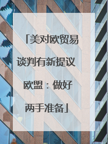 美对欧贸易谈判有新提议 欧盟：做好两手准备