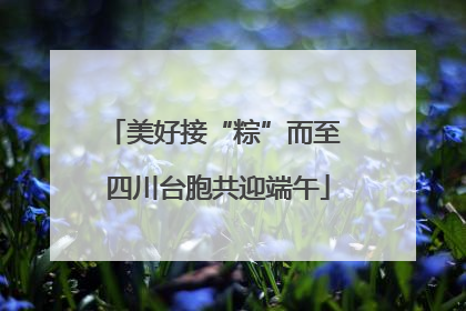 美好接“粽”而至 四川台胞共迎端午