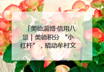 美德淄博·信用八景｜美德积分 “小杠杆”，撬动牟村文明 “大能量”