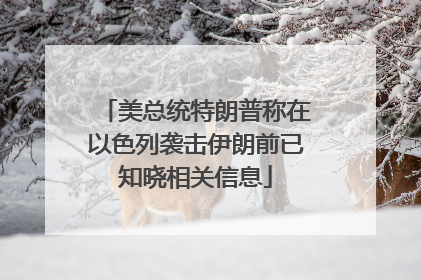 美总统特朗普称在以色列袭击伊朗前已知晓相关信息