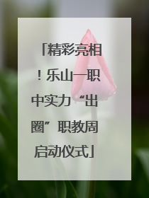 精彩亮相！乐山一职中实力“出圈”职教周启动仪式