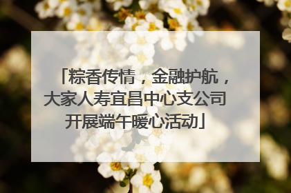 粽香传情，金融护航，大家人寿宜昌中心支公司开展端午暖心活动