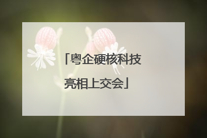 粤企硬核科技亮相上交会