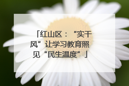 红山区：“实干风”让学习教育照见“民生温度”