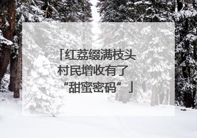 红荔缀满枝头 村民增收有了“甜蜜密码”