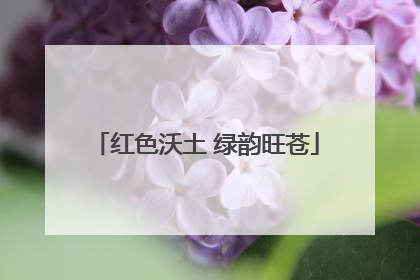 红色沃土 绿韵旺苍