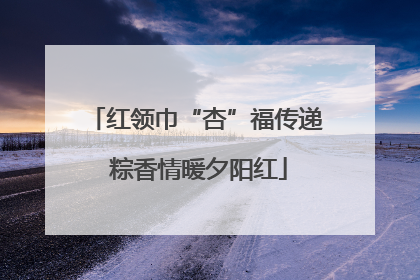红领巾“杏”福传递 粽香情暖夕阳红