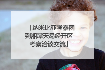 纳米比亚考察团到湘潭天易经开区考察洽谈交流
