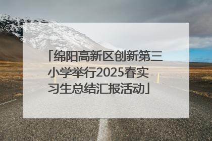 绵阳高新区创新第三小学举行2025春实习生总结汇报活动