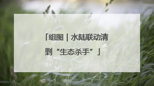 组图｜水陆联动清剿“生态杀手”
