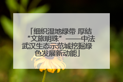 细织湿地绿带 厚结“文旅明珠”——中法武汉生态示范城挖掘绿色发展新动能