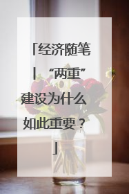 经济随笔丨“两重”建设为什么如此重要？