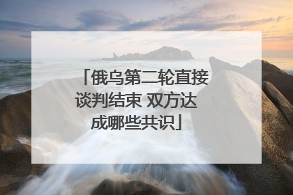 俄乌第二轮直接谈判结束 双方达成哪些共识
