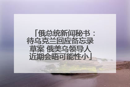 俄总统新闻秘书：待乌克兰回应备忘录草案 俄美乌领导人近期会晤可能性小