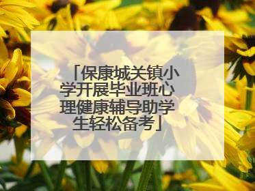保康城关镇小学开展毕业班心理健康辅导助学生轻松备考