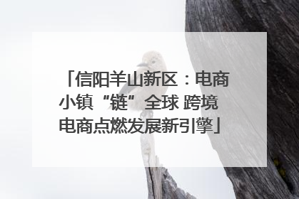 信阳羊山新区：电商小镇“链”全球 跨境电商点燃发展新引擎