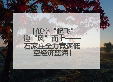低空“起飞” 迎“风”而上——石家庄全力竞逐低空经济蓝海