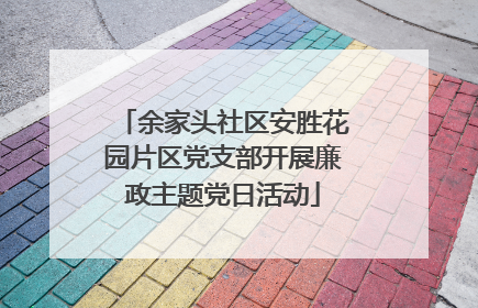 余家头社区安胜花园片区党支部开展廉政主题党日活动
