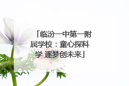 临汾一中第一附属学校：童心探科学 逐梦创未来